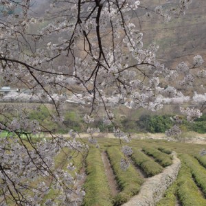 07.jpg