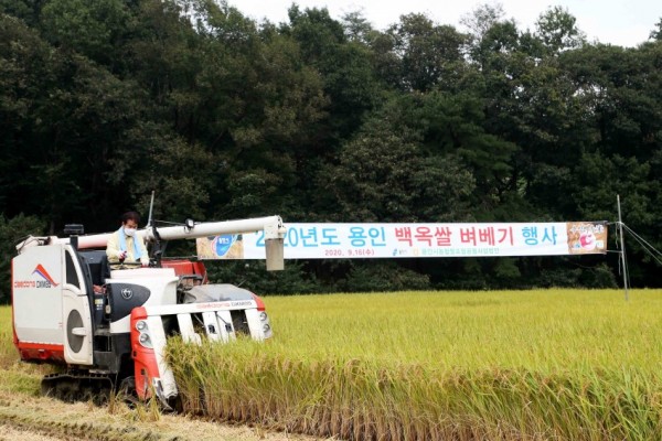 화면 캡처 2020-09-17 083937.jpg