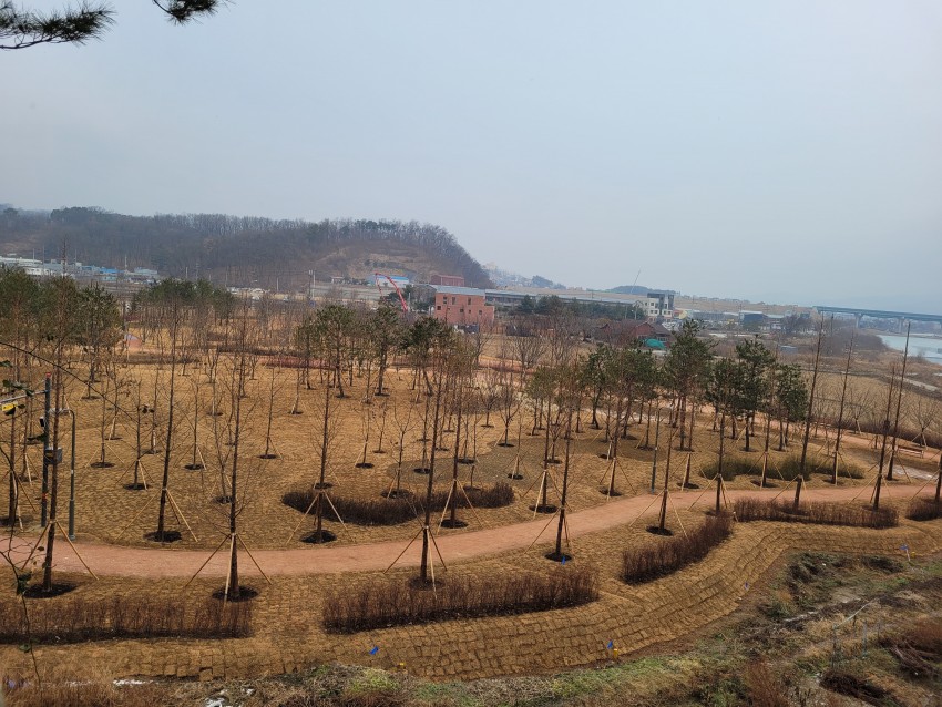 화면 캡처 2020-12-30 211250.jpg