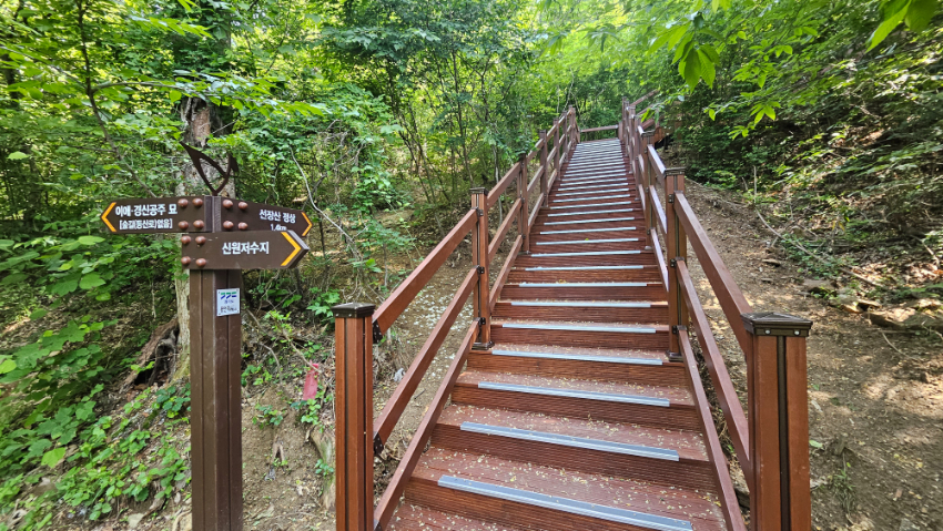 2-2. 용인특례시는 처인구 포곡읍 신원 저수지에서 시작하는 선장산 숲길 0.5km 구간 숲길을 신설했다..jpg