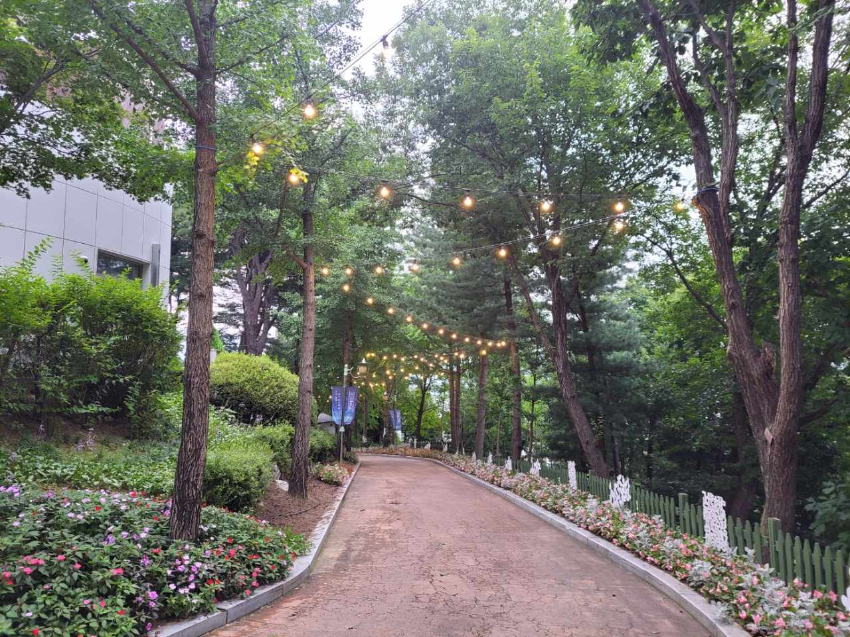 1-2. 용인특례시가 농촌테마파크 야간 개장을 위해 진입로에 조명을 설치했다.jpeg