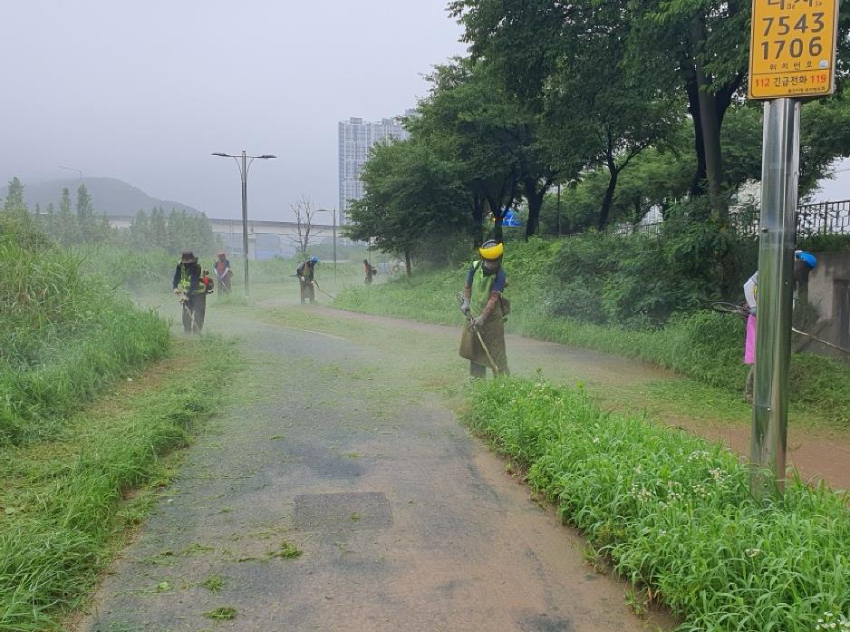 5-2. 용인특례시는 추석 명절을 앞두고 시민과 귀성객에게 안전하고 쾌적한 환경을 제공하기 위해 하천 산책로 제초작업에 나섰다..jpg