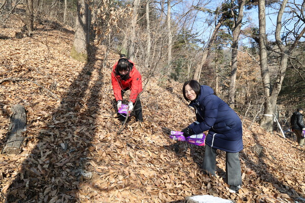 KakaoTalk_20250111_180201717.png