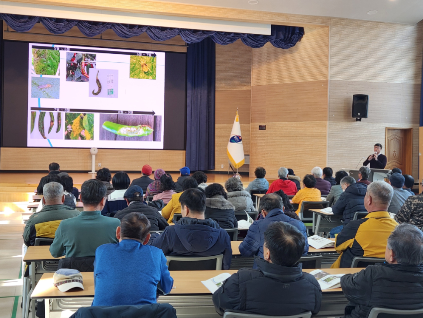 4. 용인특례시의 농업인 상설 교육 중 14일에 진행된 '고품질 고추재배 기술 교육' 현장 모습.jpg