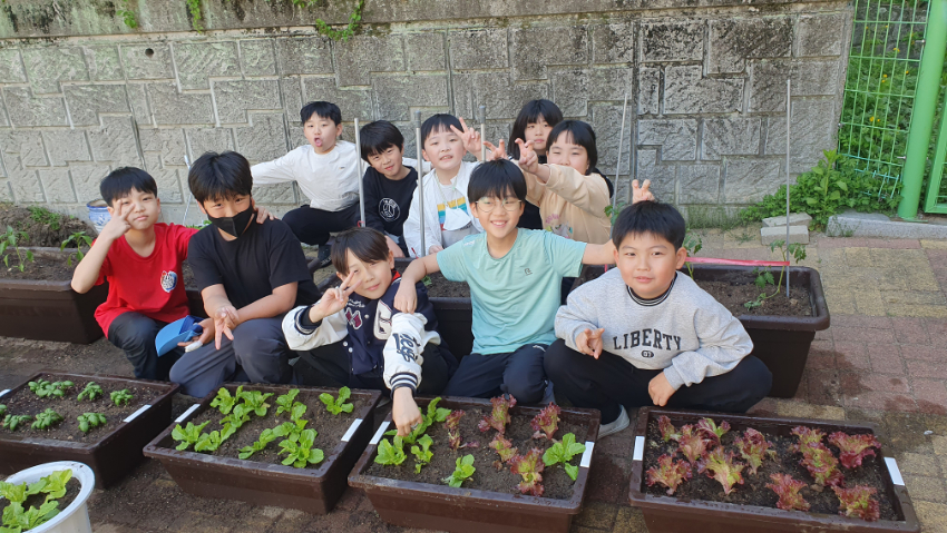 (20250429)용인교육지원청 보도자료(용인 능원초, 모종 심고 사랑 나누기 행사로 생태 감수성과 사회정서 역량 함께 키워) 사진1.jpg