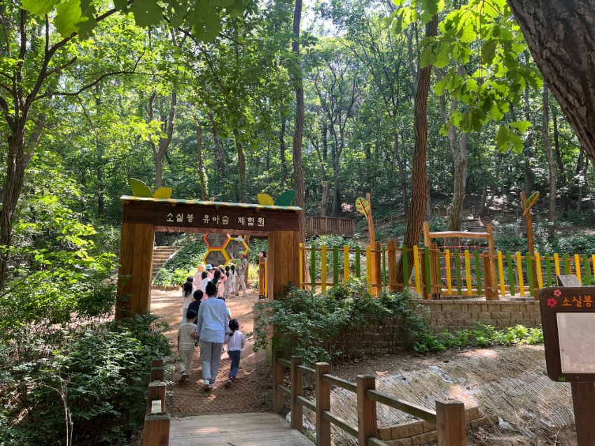 6. 용인특례시가 '보라유아숲'과 '소실봉유아숲' 시설정비를 마무리했다..jpg