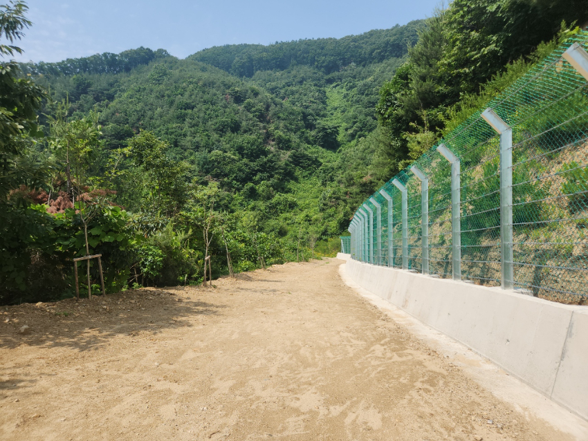 5-2. 용인특례시 묵리 산길 정비사업을 완료했다 (1).jpeg