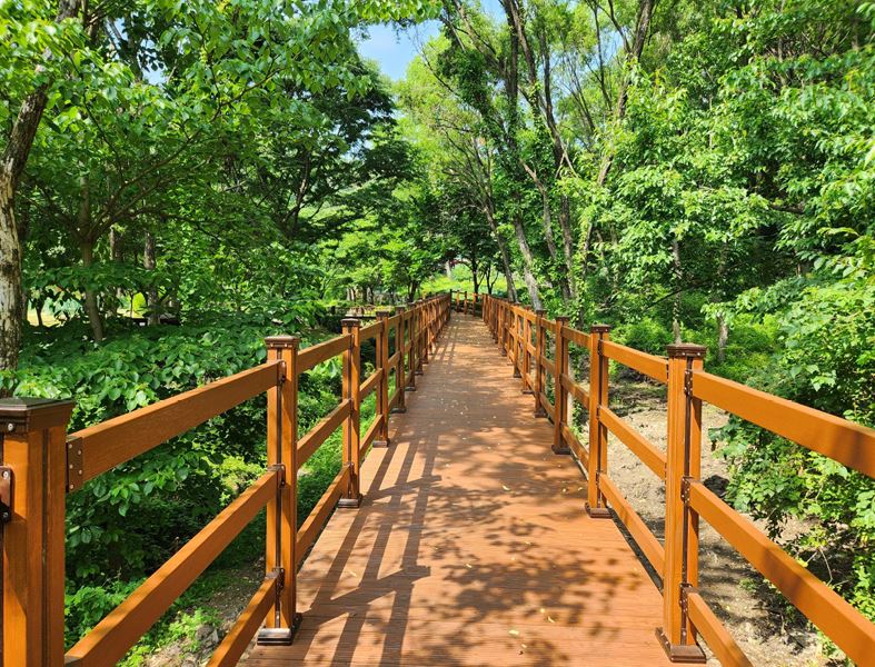 4-2. 용인자연휴양림 숲속쉼터 무장애 잔책로 설치 모습.JPG