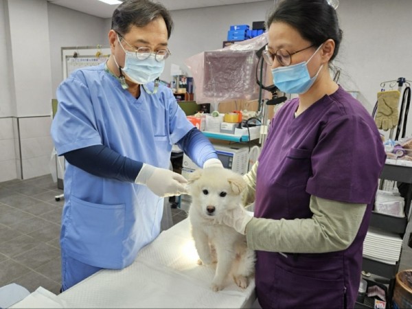 3. 용인특례시가 하반기 광견병 예방접종을 실시한다..jpg